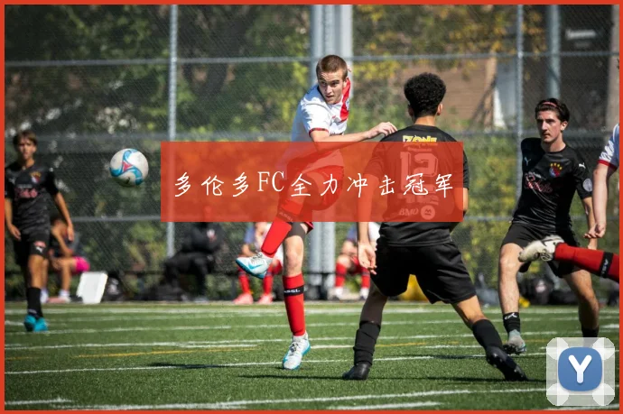 多伦多FC全力冲击冠军