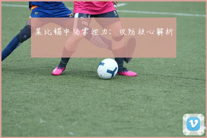 莱比锡中场掌控力:攻防核心解析