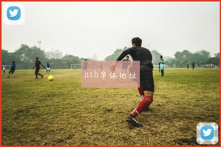 hth华体地址