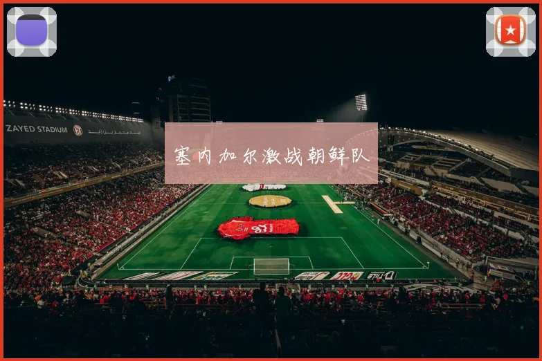 塞内加尔激战朝鲜队