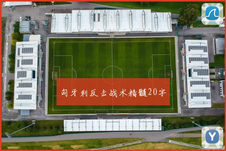 匈牙利反击战术精髓20字