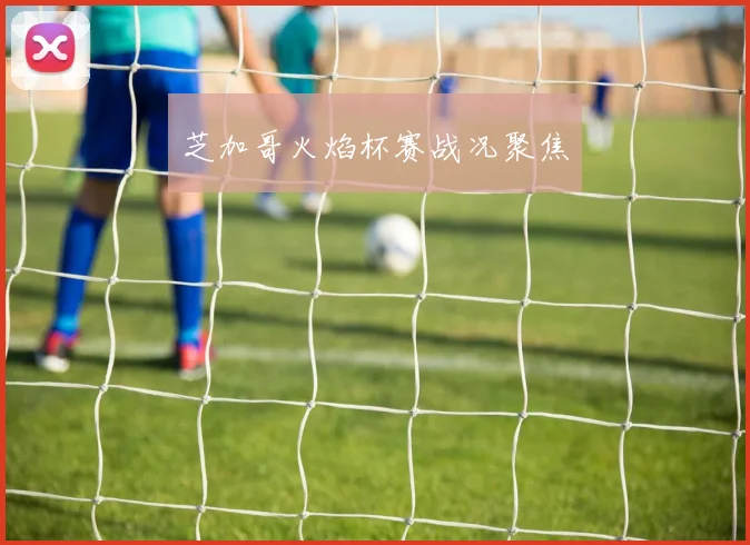 芝加哥火焰杯赛战况聚焦