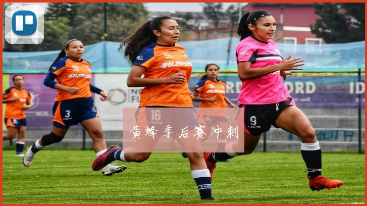 黄蜂季后赛冲刺