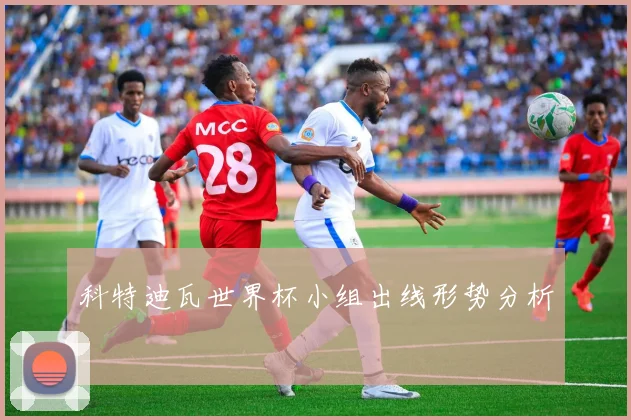 科特迪瓦世界杯小组出线形势分析