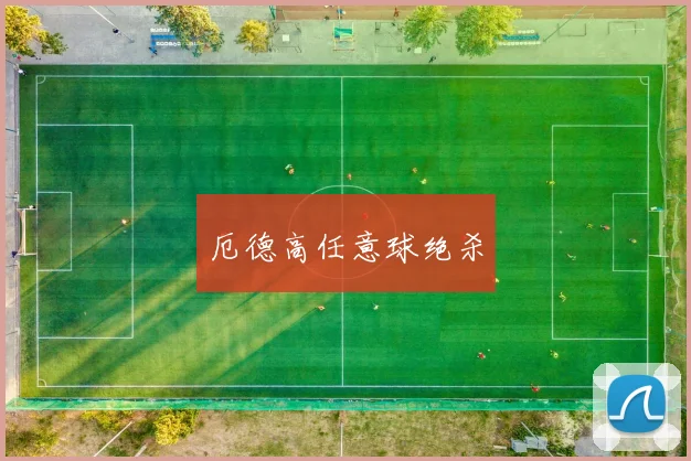 厄德高任意球绝杀