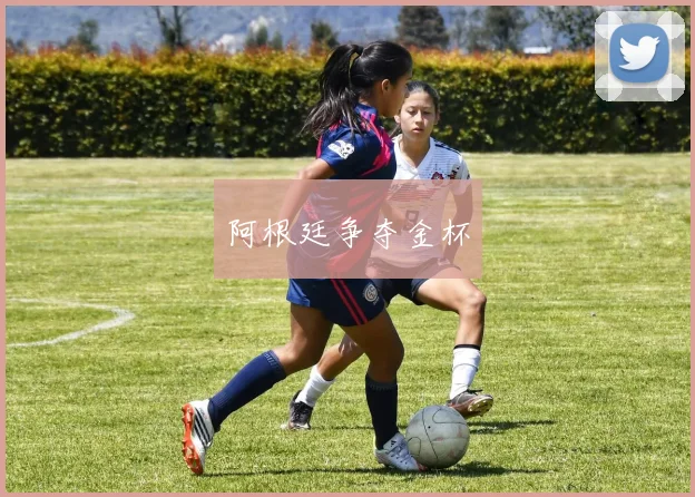 阿根廷争夺金杯