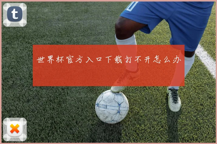 世界杯官方入口下载打不开怎么办