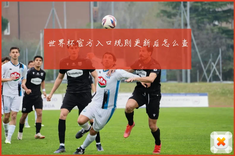 世界杯官方入口规则更新后怎么查