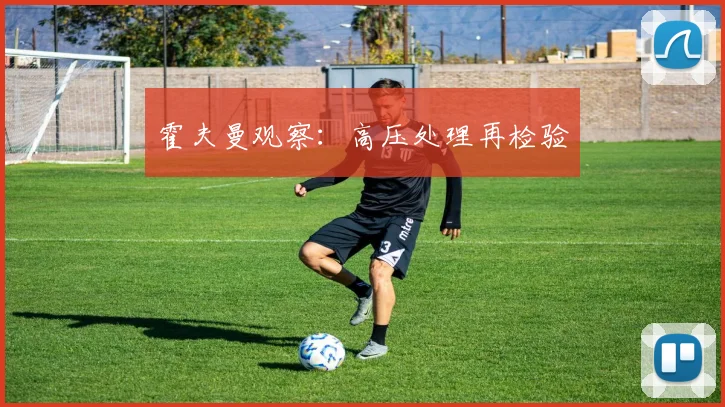 霍夫曼观察：高压处理再检验