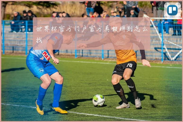 世界杯官方门户官方真假辨别怎么找