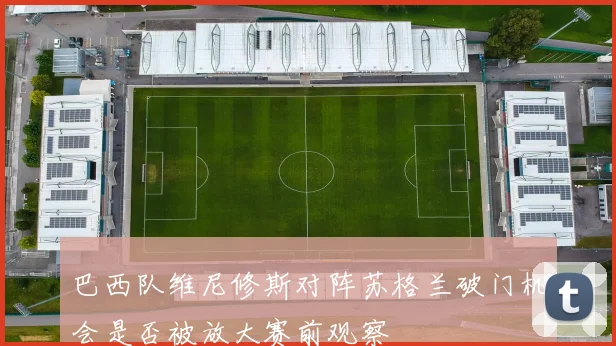 巴西队维尼修斯对阵苏格兰破门机会是否被放大赛前观察